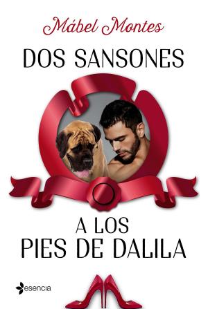 Cover of the book Dos Sansones a los pies de Dalila by Noe Casado