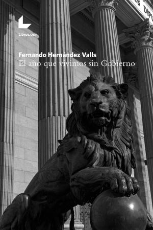 Cover of the book El año que vivimos sin Gobierno by Antonio Valderrama Vidal