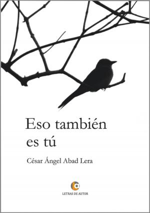 Cover of the book Eso también es tú by Fernán Bravo
