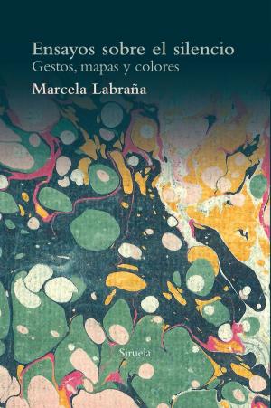 Cover of the book Ensayos sobre el silencio by Jordi Sierra i Fabra