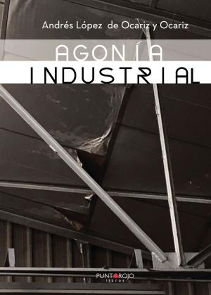 Cover of the book Agonía Industrial by Manuel  Gutiérrez Delgado