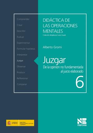 Cover of the book Juzgar by Sandra Cerro Jiménez
