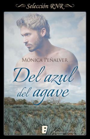 Cover of the book Del azul del agave by Clara Peñalver