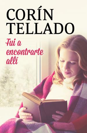 Cover of the book Fui a encontrarte allí by Lee Wilkinson