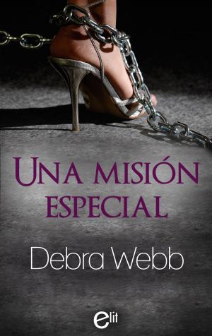 Cover of the book Una misión especial by Jesús Sánchez Adalid