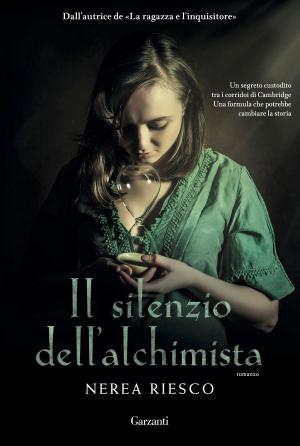 Book cover of Il silenzio dell'alchimista