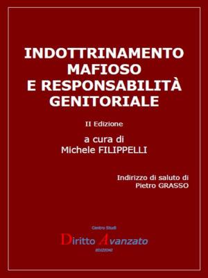 Book cover of Indottrinamento mafioso e responsabilità genitoriale