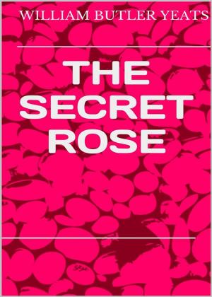 Book cover of The secret rose