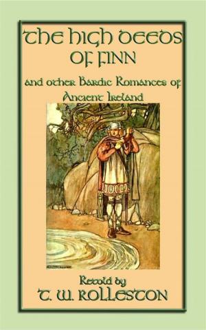 Cover of the book THE HIGH DEEDS OF FINN and other Bardic Romances of Ancient Ireland by George Ethelbert Walsh, Illustrated by EDWIN JOHN PRITTIE
