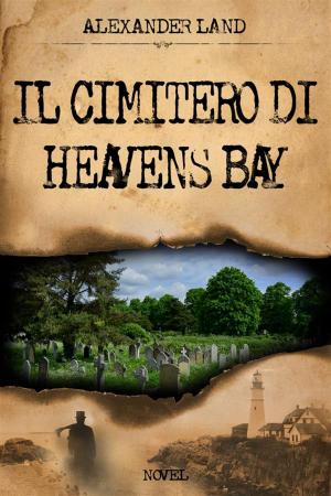 Book cover of Il cimitero di Heavens Bay