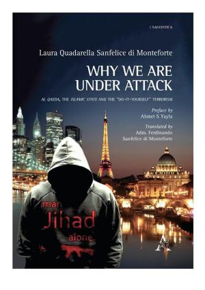 Cover of the book Why we are under attack by Matteo Prodi
