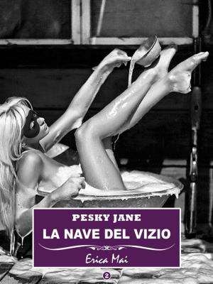 Cover of the book Pesky Jane La nave del vizio: Vol. 2 by Sara Spanks