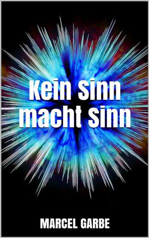 Cover of the book Kein Sinn macht Sinn by Anton Rau