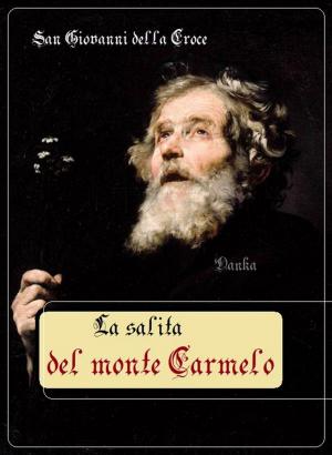Book cover of La salita del monte Carmelo