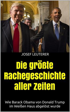 Cover of the book Die größte Rachegeschichte aller Zeiten by Lukas Silber