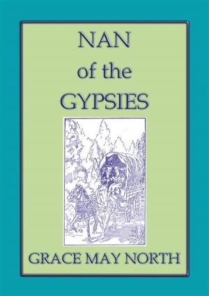 Book cover of NAN of the GYPSIES - An American Coming of Age Novel