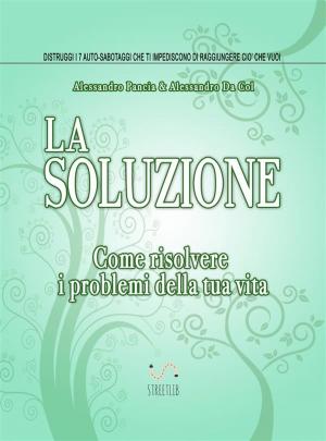 Cover of the book La Soluzione by John Roberts