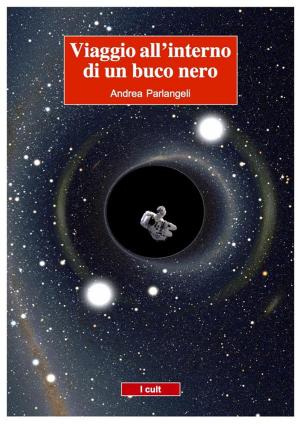 Book cover of Viaggio all'interno di un buco nero