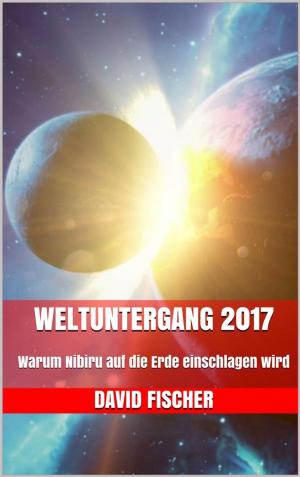 Book cover of Weltuntergang 2017