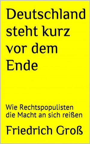 Cover of the book Deutschland steht kurz vor dem Ende by Julius Zink