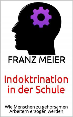 Cover of the book Indoktrination in der Schule by Lukas Silber
