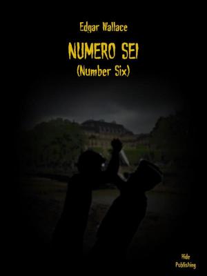 Cover of the book Numero Sei (Tradotto) by Todd Harra