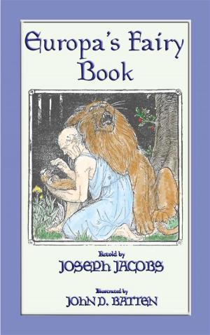 Book cover of EUROPA'S FAIRY BOOK - 25 Popular European Fairy Tales