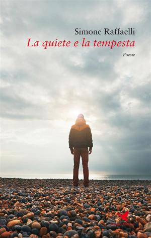Cover of the book La quiete e la tempesta by Emile Verhaeren
