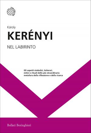 Cover of the book Nel labirinto by Eric Lichtblau