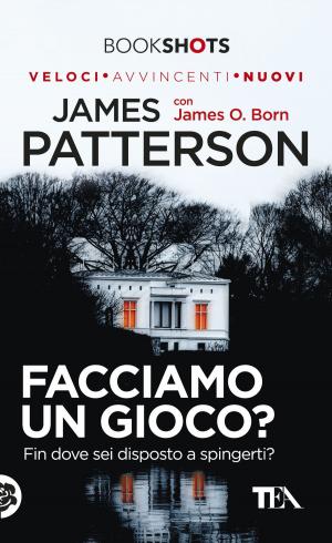 Cover of the book Facciamo un gioco? by Carrie Bebris