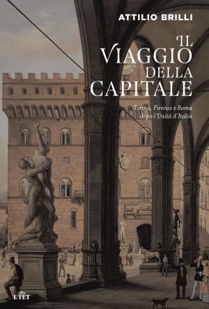 Book cover of Il viaggio della capitale