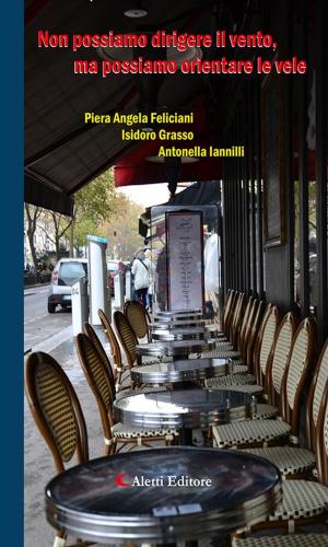 Cover of the book Non possiamo dirigere il vento, ma possiamo orientare le vele by Piera Angela Feliciani