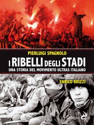 Cover of the book I ribelli degli stadi by Gianluca Morozzi, Raoul Melotto