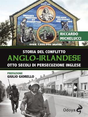 Cover of Storia del conflitto anglo-irlandese