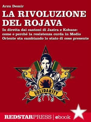 Cover of the book La rivoluzione del Rojava by Raul Mordenti