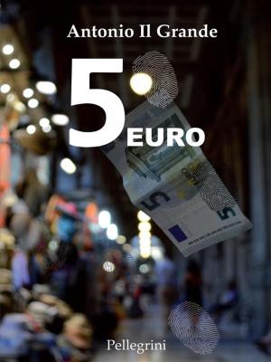 Cover of the book 5 euro by Antonio Chieffallo