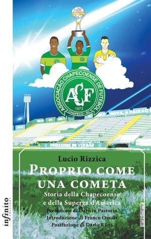 Book cover of Proprio come una cometa