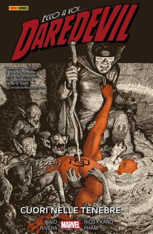 Cover of the book Daredevil 2 (Marvel Collection) by Joe Kelly, Pete Woods, David Brewer