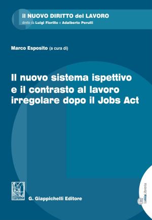 Book cover of Il nuovo sistema ispettivo e il contrasto al lavoro irregolare dopo il Jobs Act
