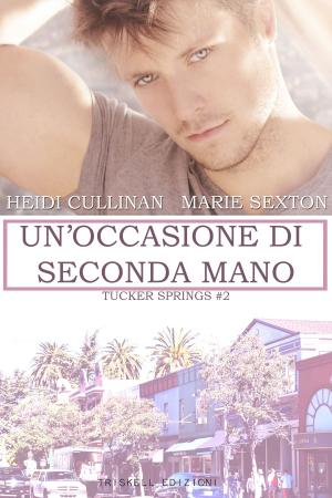 Book cover of Un’occasione di seconda mano
