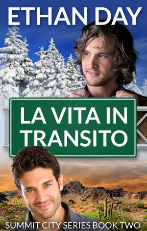 Book cover of La vita in transito