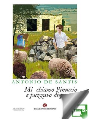 Cover of the book Mi chiamo Pinuccio e puzzavo di pecora by Giuseppe Quattrocchi