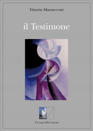 Book cover of il Testimone