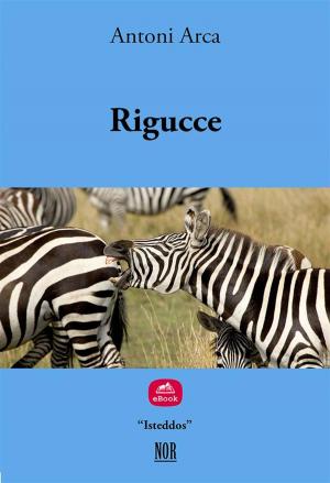 Book cover of Rigucce