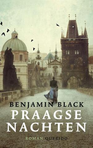 Cover of the book Praagse nachten by K. Schippers