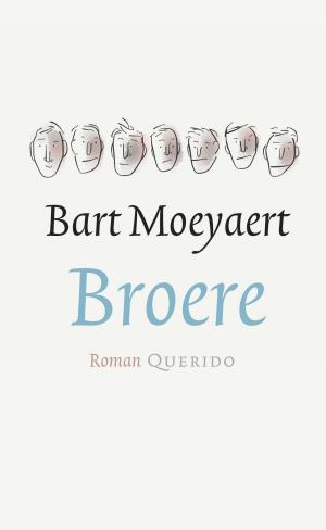 Cover of the book Broere by David Pefko