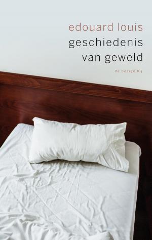 Cover of the book Geschiedenis van geweld by Stefan Hertmans