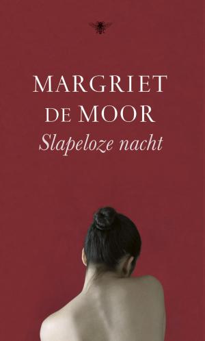 Book cover of Slapeloze nacht