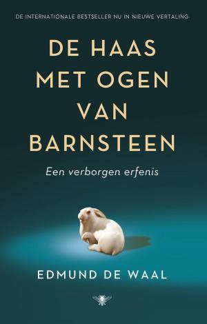 Cover of the book De haas met ogen van barnsteen by Chris de Stoop