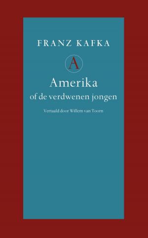 bigCover of the book Amerika by 